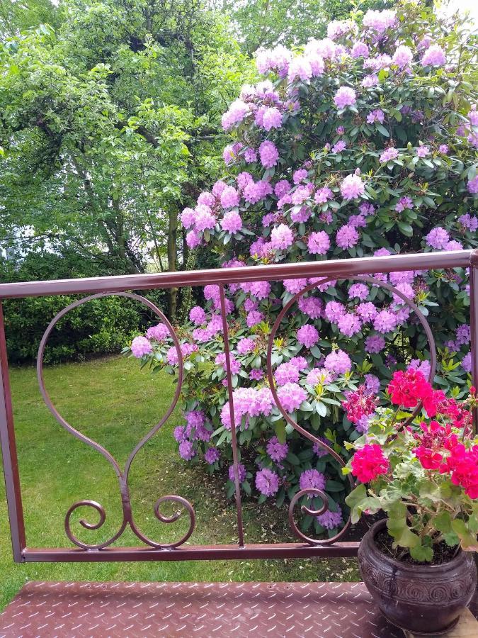 Alster City Garden Villa Αμβούργο Εξωτερικό φωτογραφία